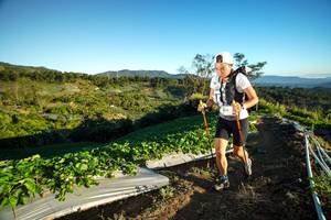 BIB: 
                            <button type="button" onclick="openModal(19109142)" class="btn btn-primary btn-sm float-right btn-popup" data-toggle="modal" data-target=".modal-high-quality">
                        <i class="fas fa-shopping-cart"></i> Add to Cart
                    </button>
                                            <button type="button" onclick="isThisMe(19109142, true)" class="btn btn-success btn-sm float-right btn-popup btn-isme hidden" data-toggle="tooltip" data-placement="bottom" title="นี่คือรูปของคุณใช่ไหม คลิกที่นี่เพื่อเอาเข้าอัลบั้ม">
                        <i class="fas fa-plus"></i> Add to album
                    </button>
                    <button type="button" onclick="isThisMe(19109142, false)" class="btn btn-warning btn-sm float-right btn-popup btn-isnotme hidden">
                        <i class="fas fa-ban"></i> Remove from album
                    </button>